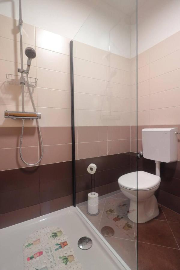 Apartman Studio Pesja オミサリ エクステリア 写真