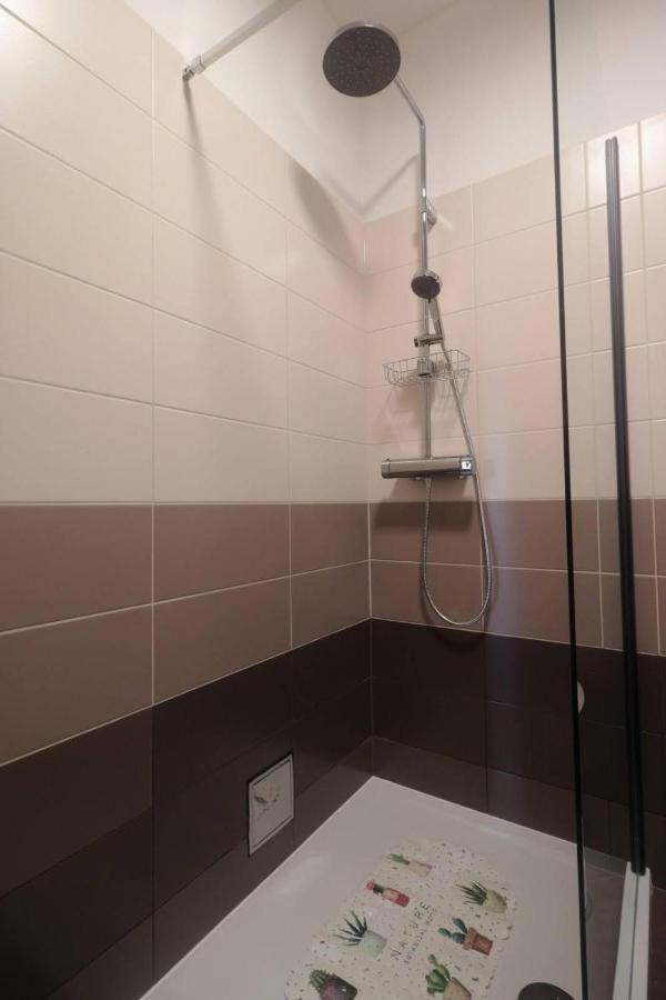 Apartman Studio Pesja オミサリ エクステリア 写真
